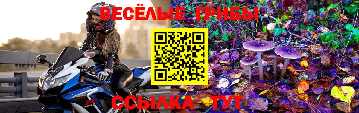 Галлюциногенные грибы мицелий  Галлюциногенные грибы Magic Shrooms  Вход с VPN  цена наркотик  Москва 