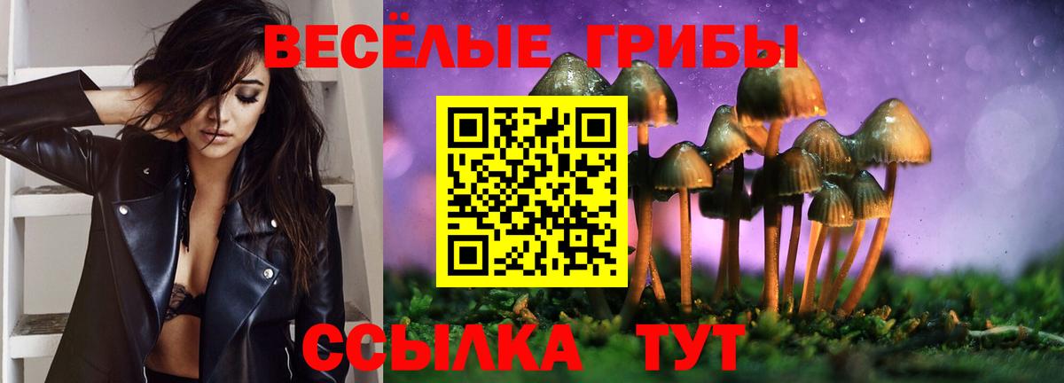 Галлюциногенные грибы Psilocybine cubensis Москва